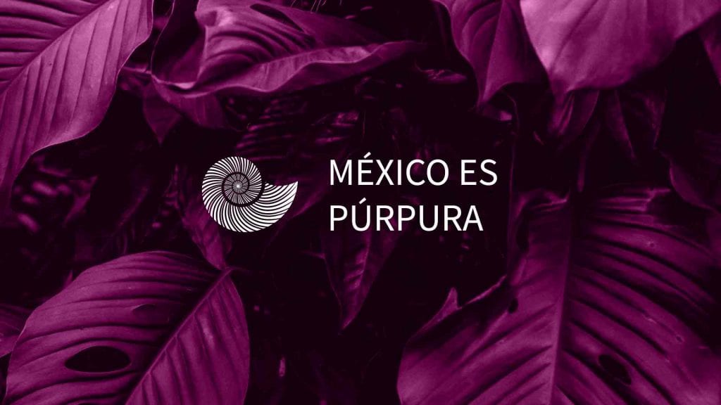 purpura-mixteco-artesanas-oaxaca-méxico-moda-de-lujo-purpura-artesanos-mexicanos-oaxaca