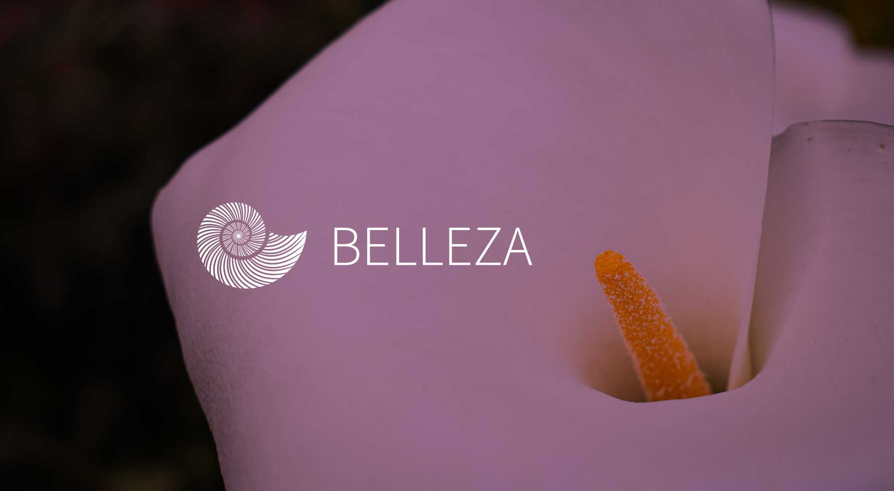 Belleza - Púrpura Mixteco